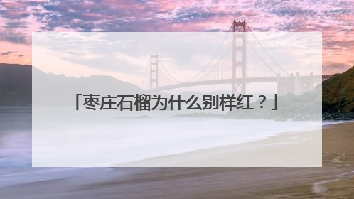 枣庄石榴为什么别样红？