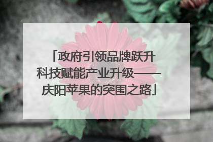 政府引领品牌跃升 科技赋能产业升级——庆阳苹果的突围之路