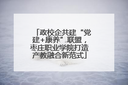 政校企共建“党建+康养”联盟，枣庄职业学院打造产教融合新范式