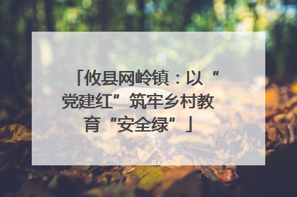 攸县网岭镇：以“党建红”筑牢乡村教育“安全绿”