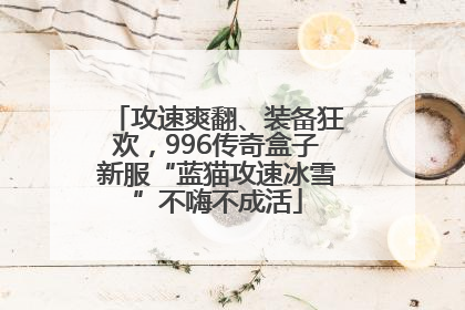 攻速爽翻、装备狂欢，996传奇盒子新服“蓝猫攻速冰雪”不嗨不成活