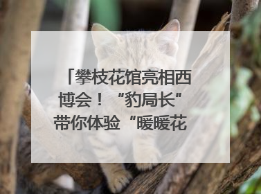 攀枝花馆亮相西博会！“豹局长”带你体验“暖暖花城”独特魅力｜西博视界