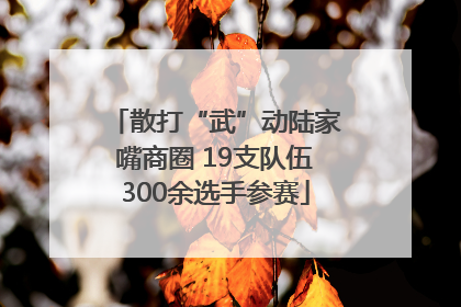 散打“武”动陆家嘴商圈 19支队伍300余选手参赛