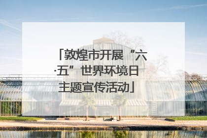 敦煌市开展“六·五”世界环境日主题宣传活动