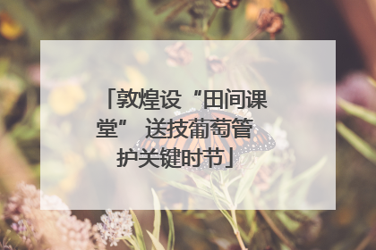 敦煌设“田间课堂” 送技葡萄管护关键时节