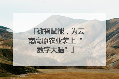 数智赋能，为云南高原农业装上“数字大脑”