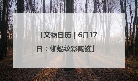 文物日历｜6月17日：蜥蜴纹彩陶罐