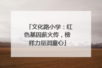 文化路小学：红色基因薪火传，榜样力量润童心