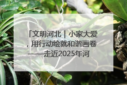 文明河北｜小家大爱，用行动绘就和谐画卷——走近2025年河北省“最美家庭”
