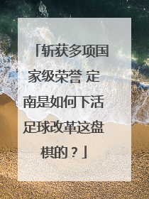 斩获多项国家级荣誉 定南是如何下活足球改革这盘棋的？