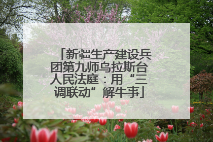新疆生产建设兵团第九师乌拉斯台人民法庭：用“三调联动”解牛事