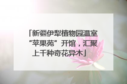 新疆伊犁植物园温室“苹果苑”开馆，汇聚上千种奇花异木