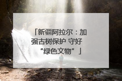 新疆阿拉尔：加强古树保护 守好“绿色文物”