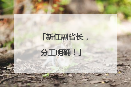 新任副省长，分工明确！