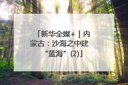 新华全媒+｜内蒙古：沙海之中建“蓝海”(2)