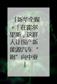 新华全媒+｜在霍尔果斯，这群人让国产新能源汽车“跑”向中亚