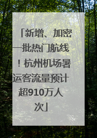 新增、加密一批热门航线！杭州机场暑运客流量预计超910万人次