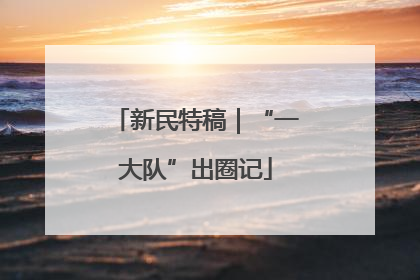 新民特稿｜“一大队”出圈记
