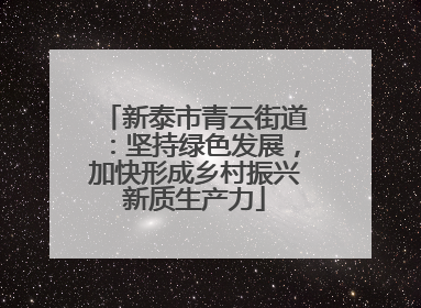 新泰市青云街道：坚持绿色发展，加快形成乡村振兴新质生产力