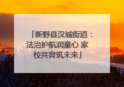 新野县汉城街道:法治护航润童心 家校共育筑未来