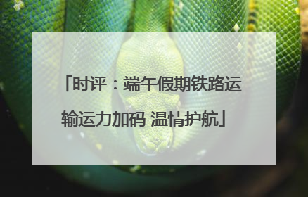 时评：端午假期铁路运输运力加码 温情护航