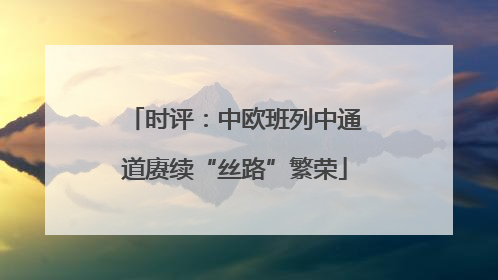 时评：中欧班列中通道赓续“丝路”繁荣