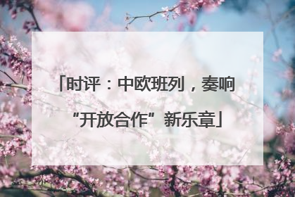 时评：中欧班列，奏响“开放合作”新乐章