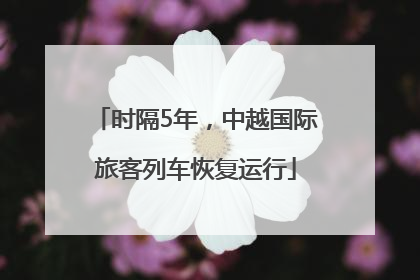 时隔5年，中越国际旅客列车恢复运行