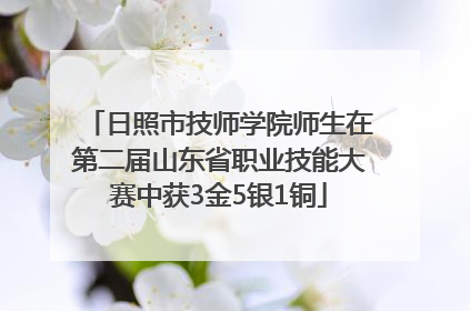 日照市技师学院师生在第二届山东省职业技能大赛中获3金5银1铜