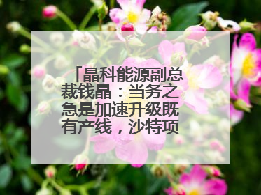 晶科能源副总裁钱晶：当务之急是加速升级既有产线，沙特项目正推进中