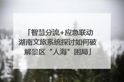 智慧分流+应急联动 湖南文旅系统探讨如何破解景区“人海”困局