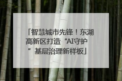 智慧城市先锋！东湖高新区打造“AI守护”基层治理新样板