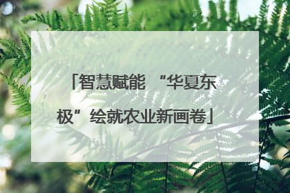 智慧赋能 “华夏东极”绘就农业新画卷