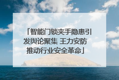 智能门锁夹手隐患引发舆论聚集 王力安防推动行业安全革命