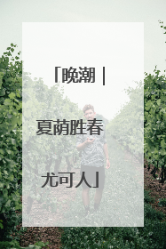 晚潮｜夏荫胜春尤可人