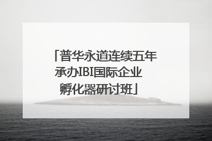 普华永道连续五年承办IBI国际企业孵化器研讨班