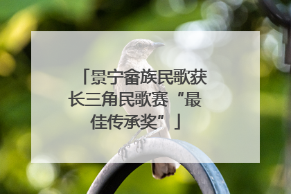 景宁畲族民歌获长三角民歌赛“最佳传承奖”
