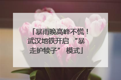 暴雨晚高峰不慌！武汉地铁开启 “暴走护犊子” 模式