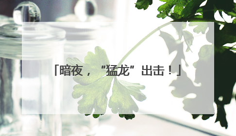 暗夜，“猛龙”出击！