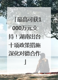 最高可获1000万元支持！湖南出台十项政策措施深化对德合作