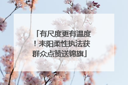 有尺度更有温度！耒阳柔性执法获群众点赞送锦旗