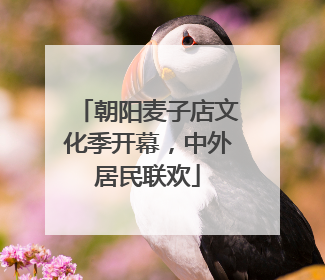 朝阳麦子店文化季开幕，中外居民联欢
