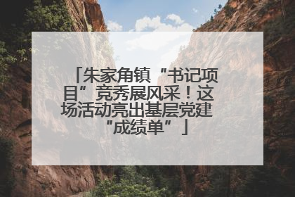 朱家角镇“书记项目”竞秀展风采！这场活动亮出基层党建“成绩单”