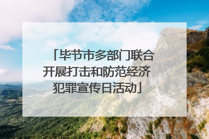 毕节市多部门联合开展打击和防范经济犯罪宣传日活动