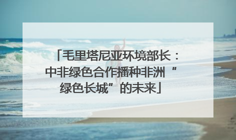 毛里塔尼亚环境部长：中非绿色合作播种非洲“绿色长城”的未来