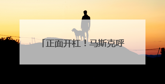 正面开杠！马斯克呼吁美国民众帮助“扼杀”特朗普减税法案