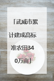 武威市累计建成高标准农田340万亩