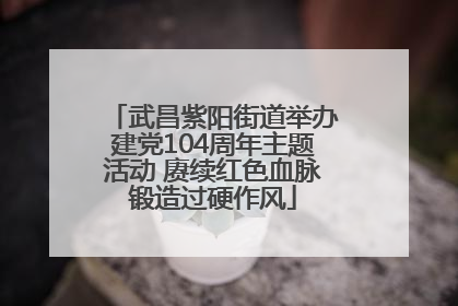 武昌紫阳街道举办建党104周年主题活动 赓续红色血脉锻造过硬作风