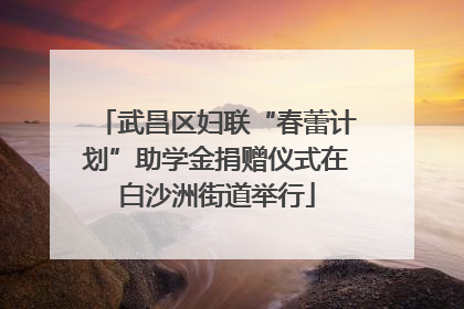 武昌区妇联“春蕾计划”助学金捐赠仪式在白沙洲街道举行
