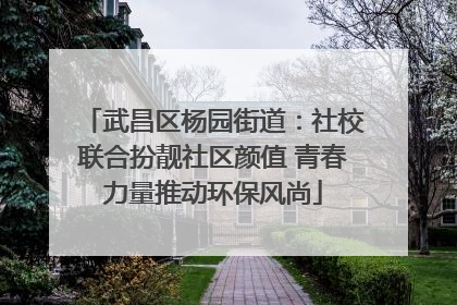 武昌区杨园街道：社校联合扮靓社区颜值 青春力量推动环保风尚